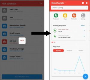 Cara Menggunakan Database di Accurate Lite