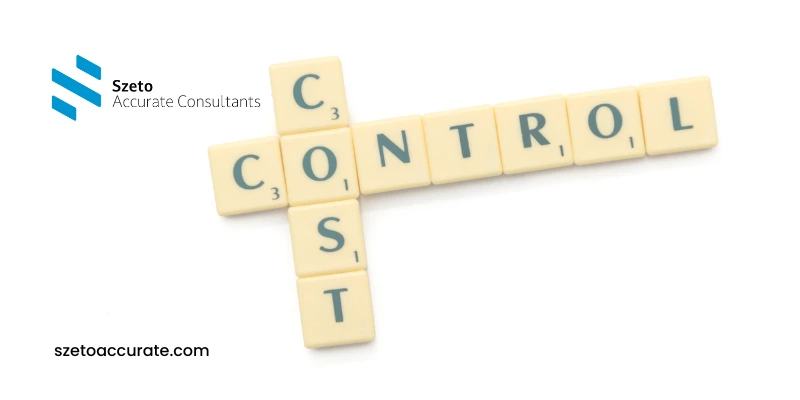 Fungsi dan Elemen Cost Control dalam Bisnis 1