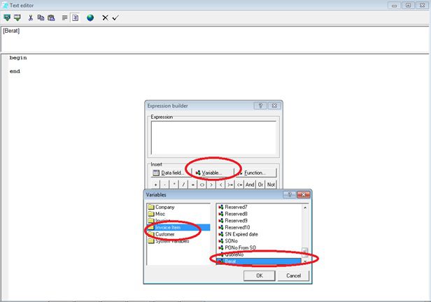 Menampilkan Informasi Berat pada Detail Barang Accurate
