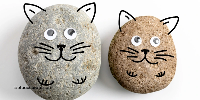 Menggeluti Bisnis Pet Rock