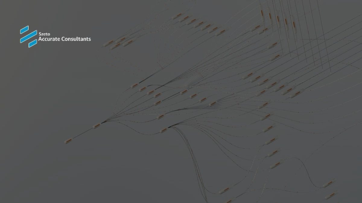 ACCURATE: Solusi Efisien Akuntansi Digital untuk Bisnis Anda