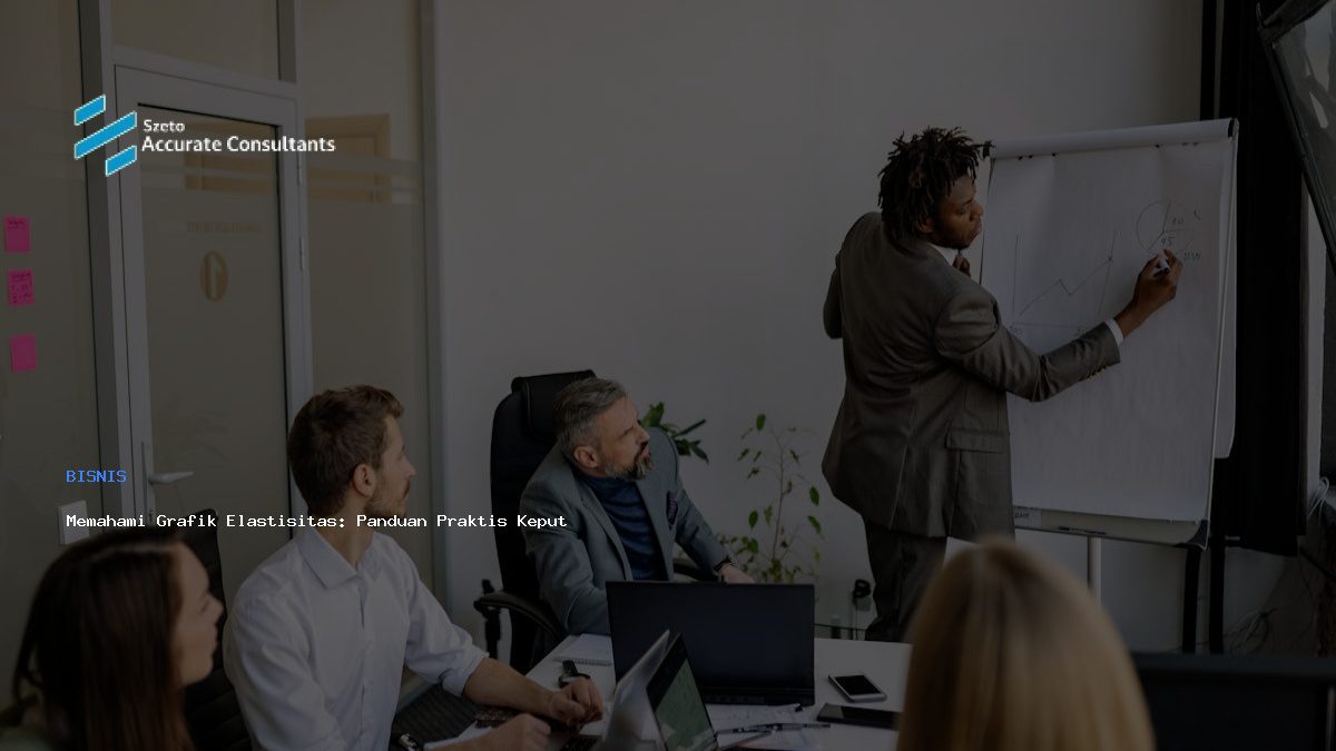 Memahami Grafik Elastisitas: Panduan Praktis Keputusan Bisnis