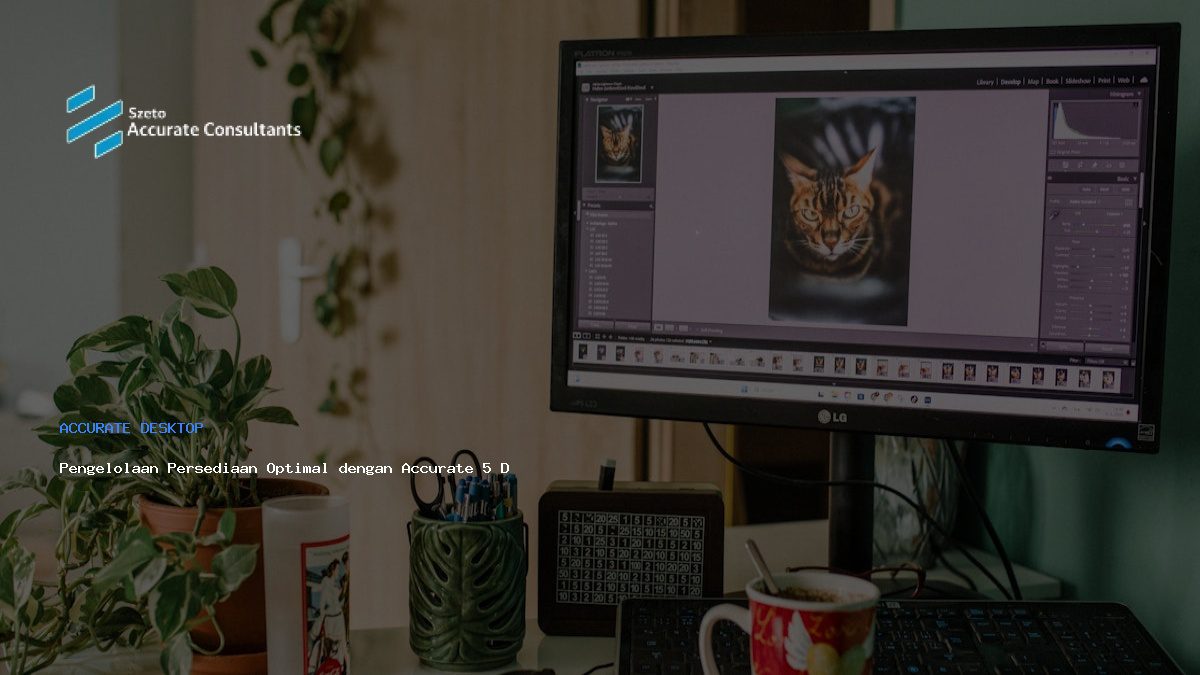 Pengelolaan Persediaan Optimal dengan Accurate 5 Desktop