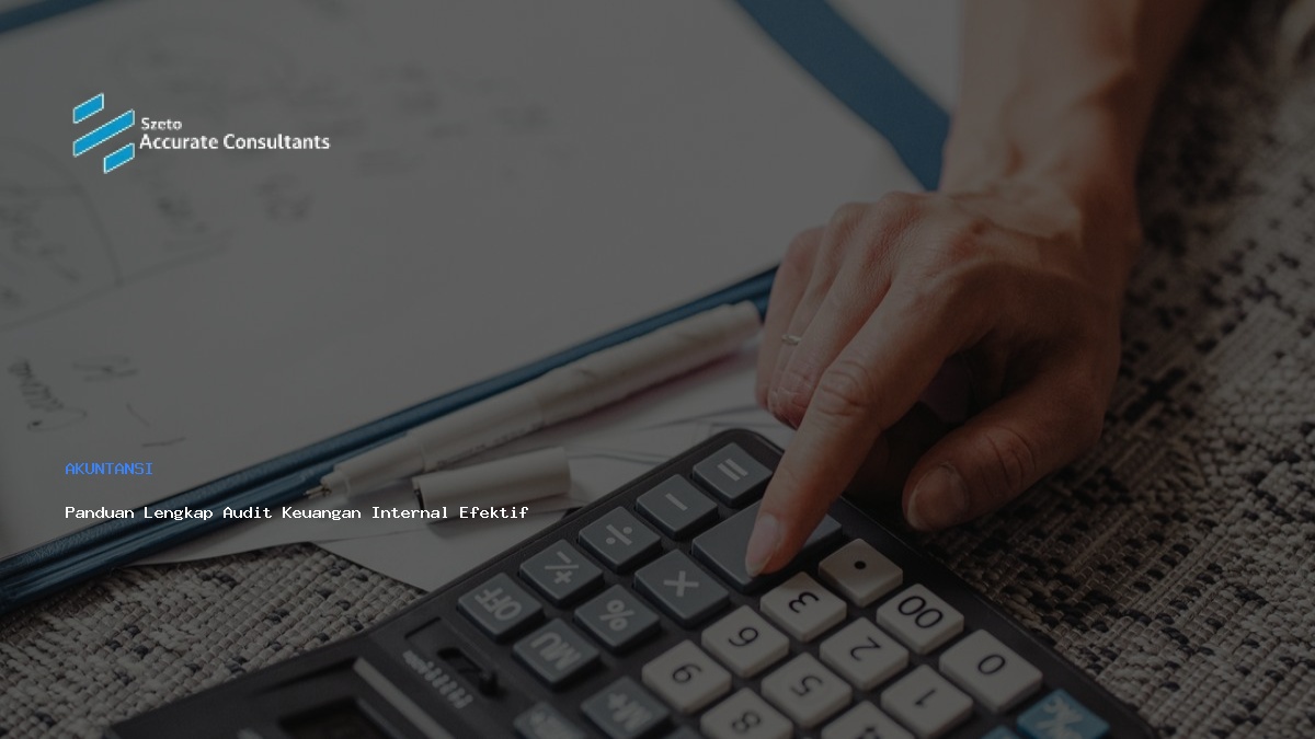 Panduan Lengkap Audit Keuangan Internal Secara Efektif